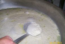 produzione ricotta