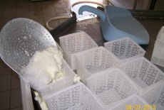 produzione ricotta