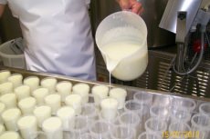 produzione panna cotta